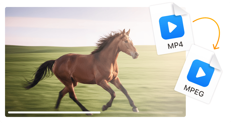 Sempurna untuk authoring DVD